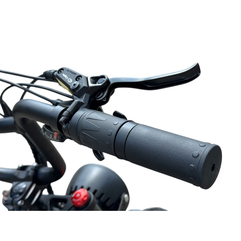 Электровелосипед SmartBalance Hunter Чёрный 17